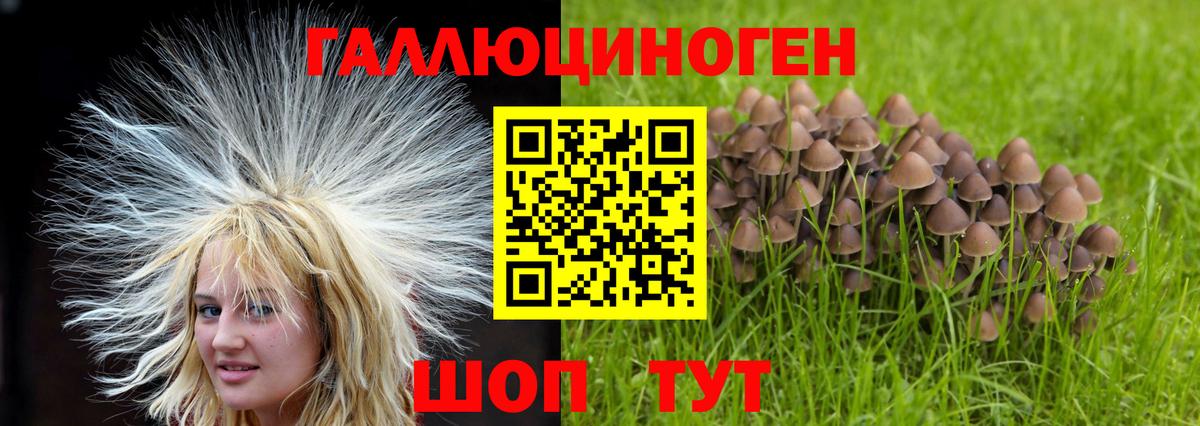 Псилоцибиновые грибы Magic Shrooms Углич