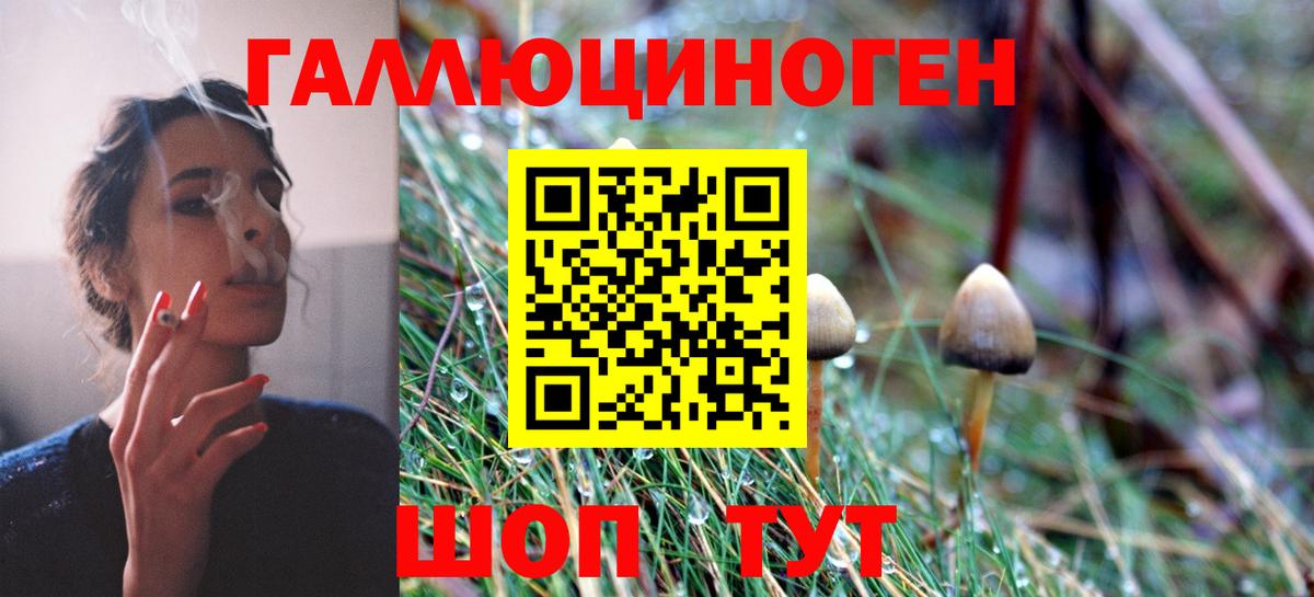 Углич  купить   Вход с VPN  Псилоцибиновые грибы Psilocybine cubensis 